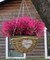 8-Bundle Artificial Outdoor Flowers – Faux Lavender and Fern Plants, UV-Resistant Plastic Shrubs for Indoor/Outdoor Hanging Decorations (Fuchsia)